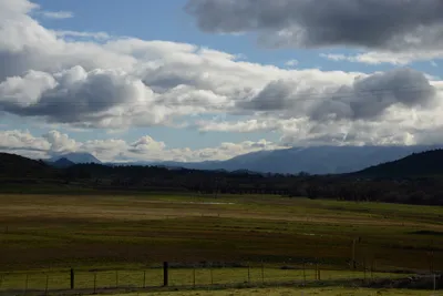 DSC_1011 (Large).JPG